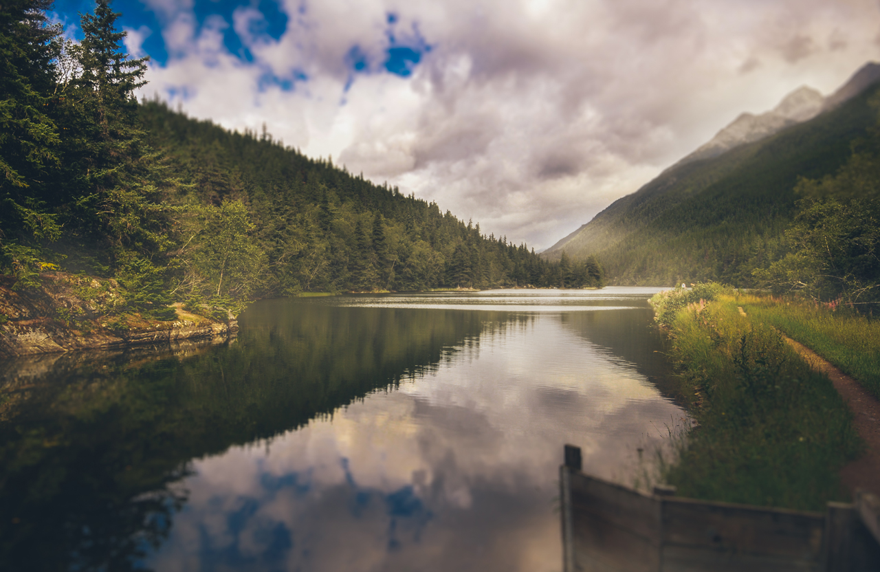Wild forest and lake in Alaska